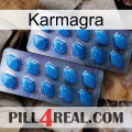 Karmagra viagra2